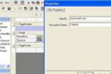 ActiveReports COM预览：